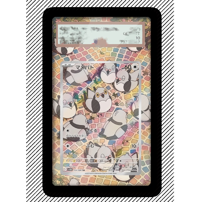 Art Display for Pokemon Pidove - Anime Merchandise From Japan ulasan dan harga
