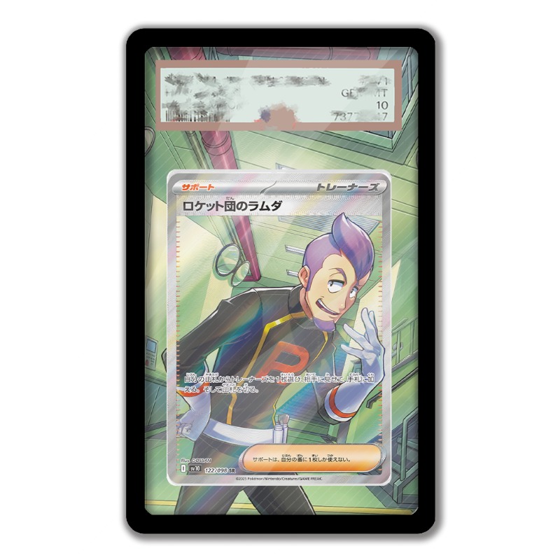 Art Display for Pokemon Petrel - Anime Merchandise From Japan ulasan dan harga